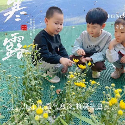 秋意渐浓，寒露已至 东蒲城小学附属幼儿园温馨提示寒露以后气温下降请给宝贝适当增添衣服注意保暖。