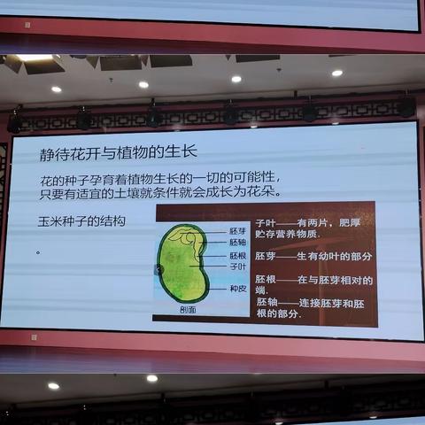 2023.12.11专题讲座《教育 课程 游戏与幼儿发展 》——徐兴芳