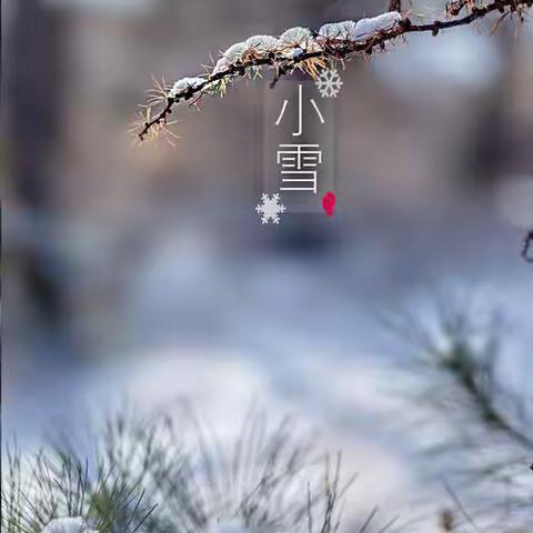 小雪到—冬始俏  •  云果苗幼儿园二十四节气之小雪