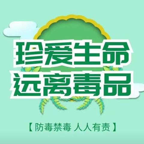 禁毒教育主题班会成功举办 ——筑牢青少年防毒拒毒防线