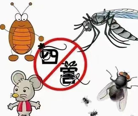 回民区北辰幼儿园—— ﻿病媒生物防治宣传