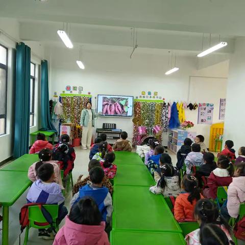 黑龙集中心幼儿园：社会实践活动——挖红薯