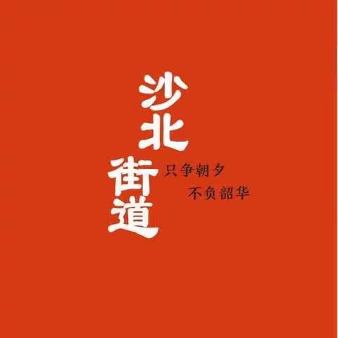 郾城区委书记李新伟一行莅临沙北街道开展主题教育专题调研