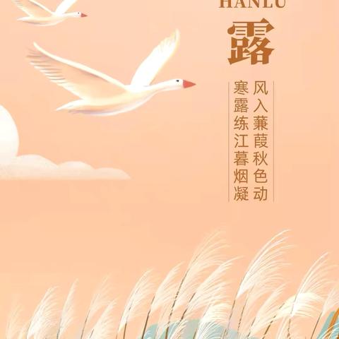 秋光向晚，遇见寒露——宿迁经济技术开发区蓝天苑幼儿园“寒露”节气主题活动