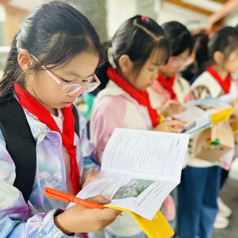 溧阳市永平小学五年级研学活动 ——相约十月南山，探索熊猫文化