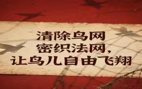 红旗林场“爱鸟周”活动拉开帷幕：“清除鸟网，密织法网，让鸟儿自由飞翔”