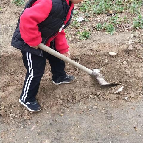 博兴乐安实验学校美言美行好少年—多才多艺好少年 我是博兴乐安实验学校一年级八班的刘洪宇，我喜欢帮助姥姥做一些力所能及的事情，喜欢看课外书，我喜欢玩拼图，喜欢研究挖掘机，喜欢玩魔尺磁力片等等