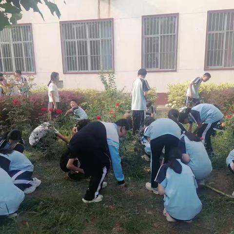 拔草除杂美校园 劳动实践促成长——闫各庄初中除草劳动教育实践活动