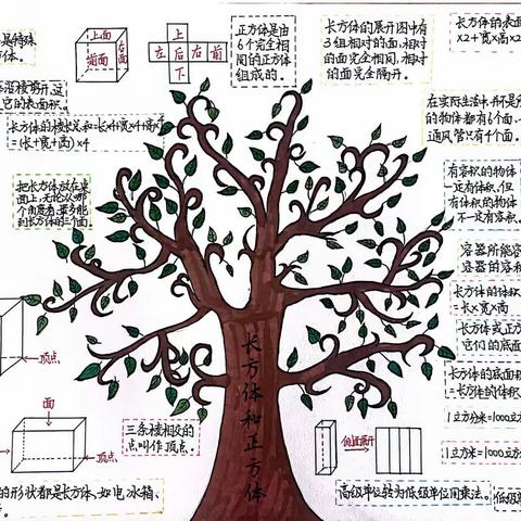 “展思维之美，显数学魅力” ——泗洪县育才实验学校六年级数学“图形思维导图”活动总结