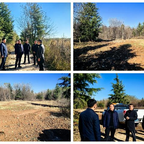 边督边改丨高陵区副区长带队核查第三轮省生态环境保护督察信访问题整改情况