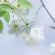 追逐历史 仰望天空——音一中初中部初一年级历史拓展课