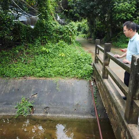 符瑶青副区长带队到赤田水库农业灌溉渠进行巡河工作