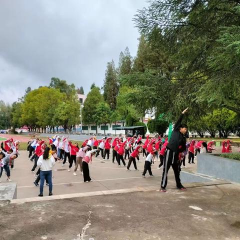 石林大可小学周实习通讯稿