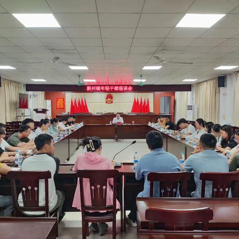 【新州镇】新州镇召开年轻干部座谈会