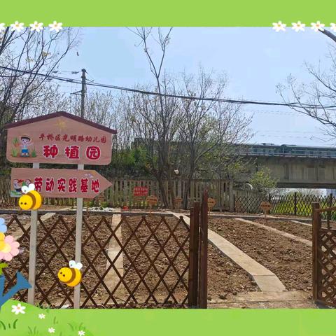 ✨“植”得期待 · “耘”见成长——光明路幼儿园种植园正式启动
