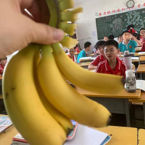 一个迷你香蕉和即将毕业的孩子们