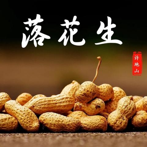 落花有意，万物关情——许店实验学校小学语文教学教研活动