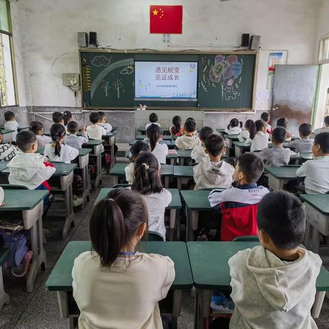 播下行为，收获习惯； 播下习惯，收获性格。——梨子园实验学校2304班课堂常规展示