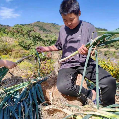 “金秋十月，收获满满” 七一班劳动实践活动