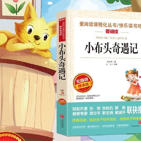 【深化能力作风建设]新站镇中心小学四年三班学生海量阅读活动之《小布头奇遇记》活动