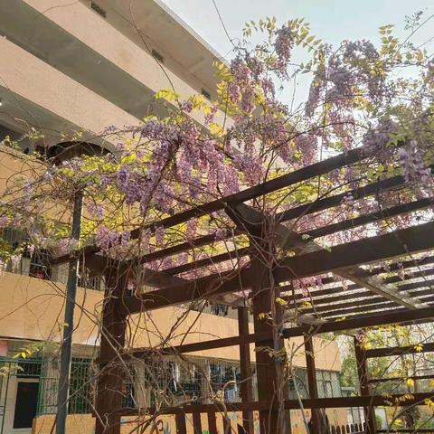 构建和谐校园，激发学生潜能 五4班二三月工作小结