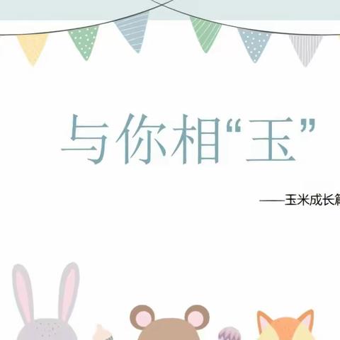 【二幼·生活课程】——“纸”趣横生——丛台区第二幼儿园中三班班本课程