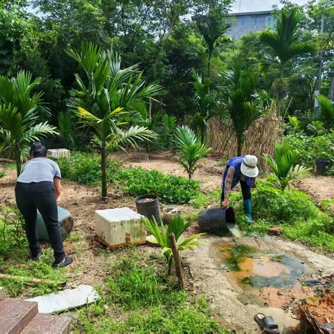 和庆镇美万村委会组织干部等人员开展防蚊灭蚊预防登革热工作