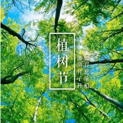 【生本课堂】“手植一棵树，心留一片绿” ——记山口小学3.12植树活动