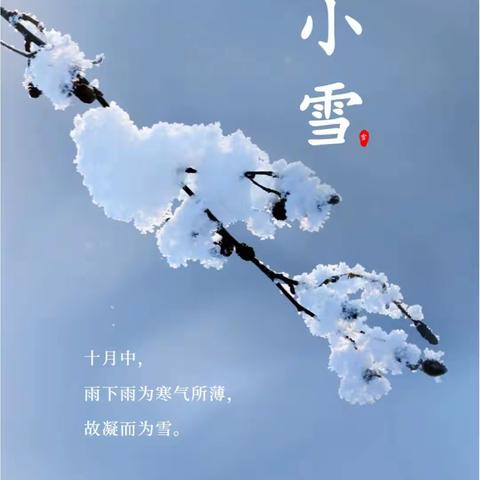 【实小·节气】小雪到，冬始俏——高陵区第一实验小学 我们的节气——小雪 主题教育宣传活动