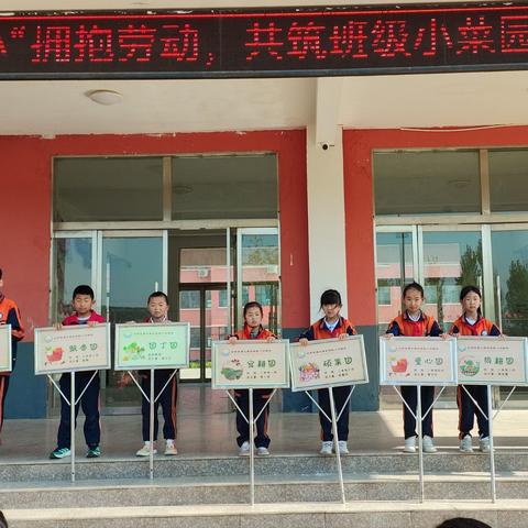 小手耕耘希望 童心共筑“蔬”香———蒲汪小学劳动实践活动