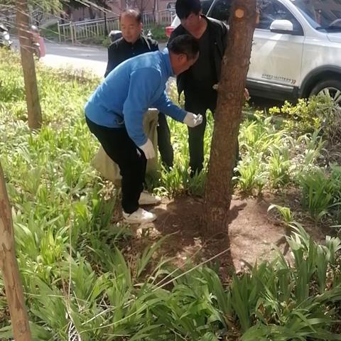 西张村镇张三安置点：环境整治提升社区颜值