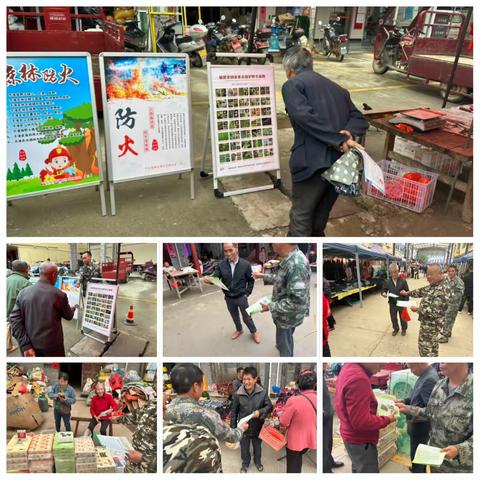 河龙乡开展野生动物宣传月和森林防灭火宣传