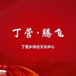 综治保险惠民生，平安丁营万家行！