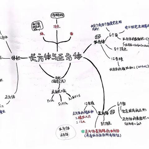 六（11）班优秀思维导图