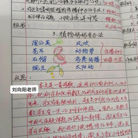 城南小学教育教学常规检查锦集(二)