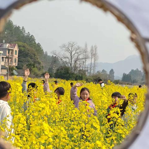 赏花融春景，创意“杨”巧思——杨桥教学点开展劳动实践活动