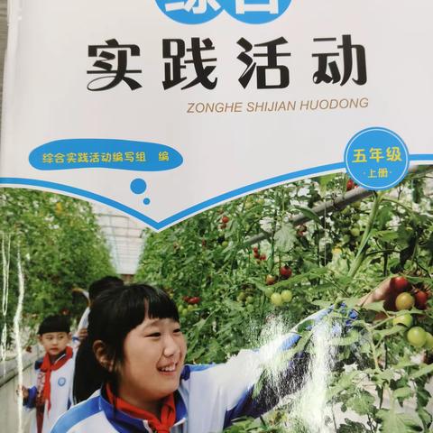 综合实践，常规检查