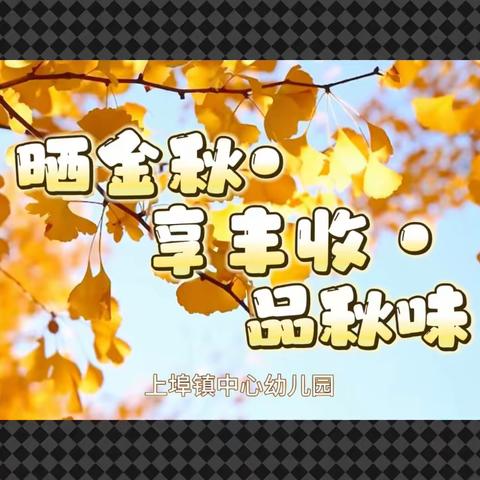“晒金秋• 享丰收 •品秋味”——上埠镇中心幼儿园晒秋活动
