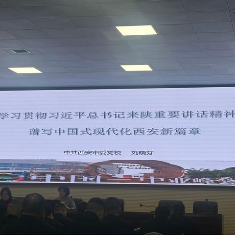 学习贯彻习近平总书记来陕重要讲话精神心得体会