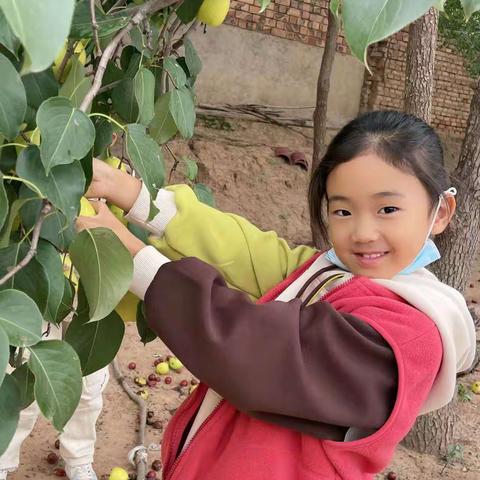 居家显身手 劳动“趣”时光｜同心县实验小学二（2）班国庆期间劳动实践活动简报