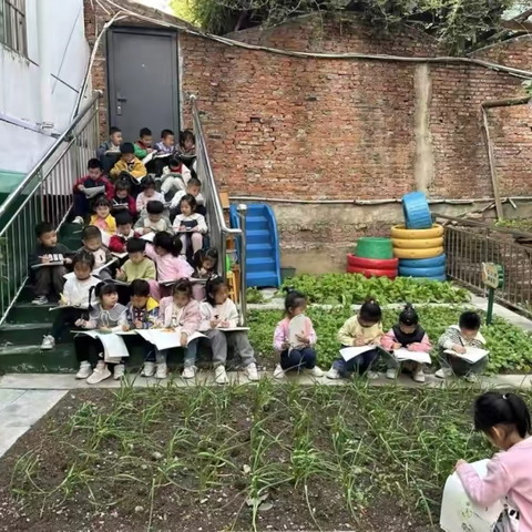 【区幼·课程】“蒜”🧄你可爱——大三班种植课程展