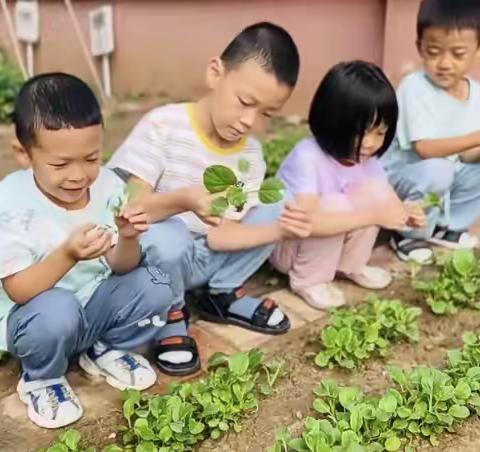 【童程悦秀幼儿园·秋之韵】