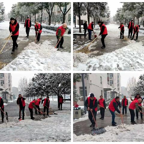 初雪满校园，铲雪暖人心——洛阳一高开展志愿铲雪活动