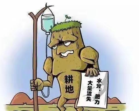禁止秸秆露天焚烧倡议书