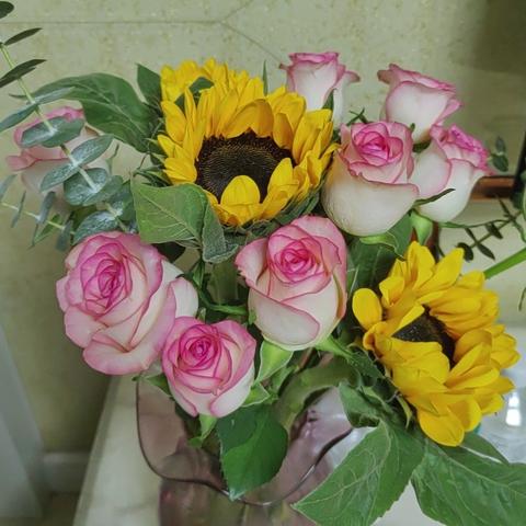 记高一语文组备课活动