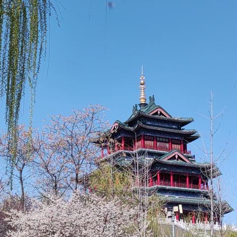 高一语文组备课活动