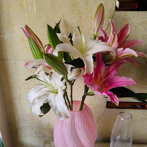 记高二语文组备课活动