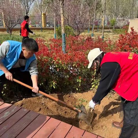 榆山街道锦东社区：清理“小菜园” 保护“大家园”