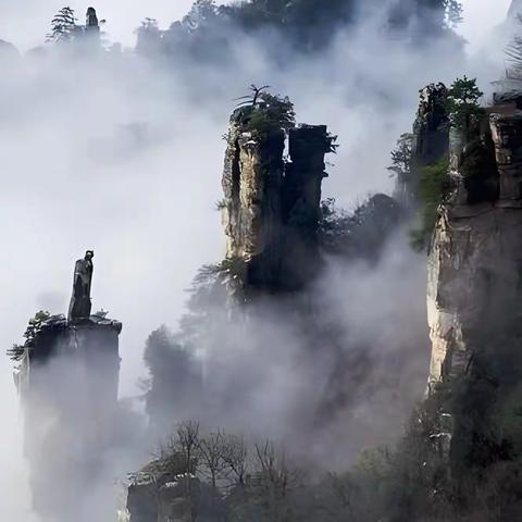 无限风光险处逢