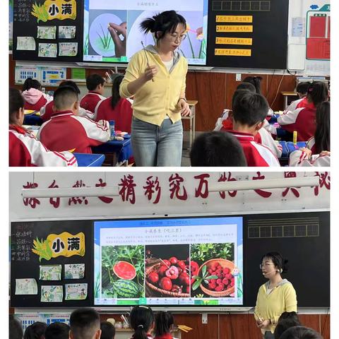 深耕课堂，共研成长 ——小店街道中心校劳动大单元备课活动